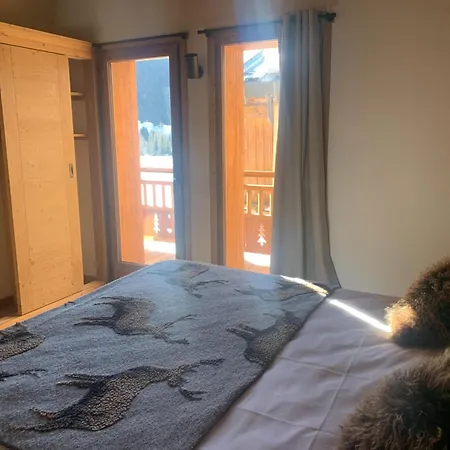Alpine With And Pets * La Plagne