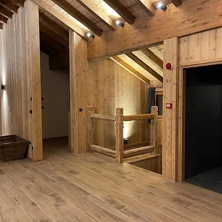 Alpine With And Pets Alpstuga La Plagne